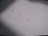 Boceto